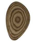 Platter - cs - 6 each per case - USD price