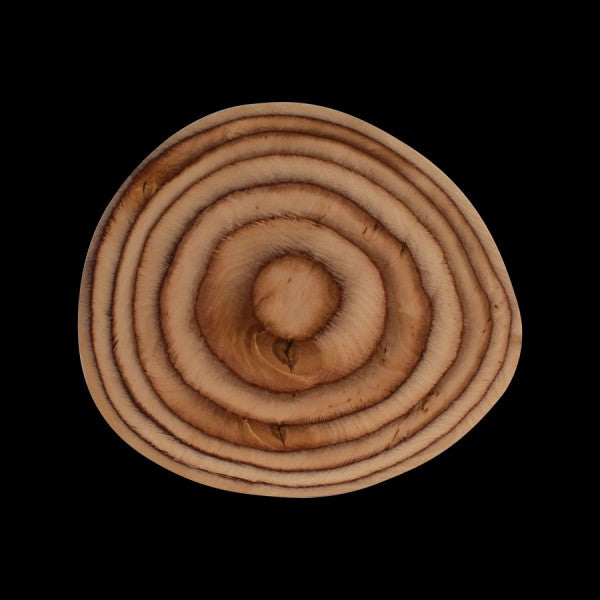 Plate - cs - 6 each per case - EU price