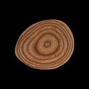 Plate - cs - 6 each per case - USD price