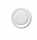 Dinner plate (BUTTER PLATE) (each)