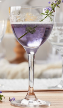 Cocktail / Martini Glass - Sold per Dozen
