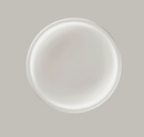 Ease Plate Ivoris 8.25" - Sold per Case (12 ea/cs)