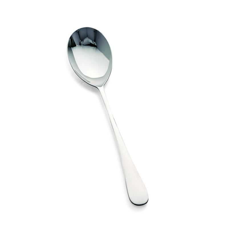 Medium Serving Spoon  (Case)